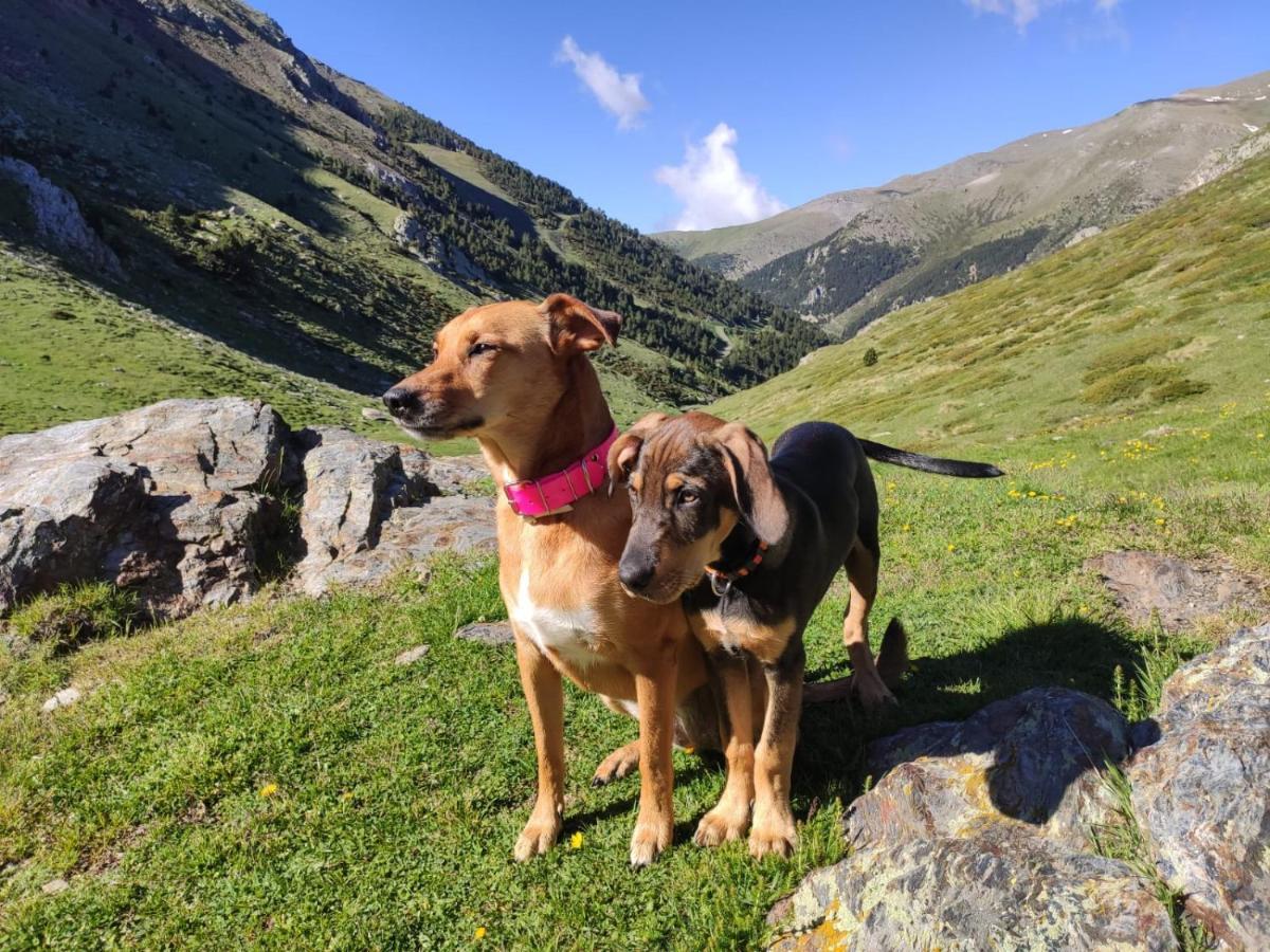 Apartaments Vall De Nuria Queralbs Esterno foto